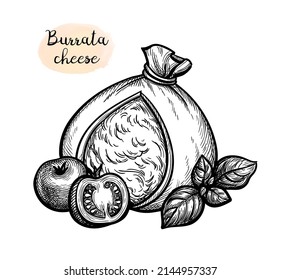 Burrata cheese with cherry tomatoes and basil. Ink sketch isolated on white background. Hand drawn vector illustration. Vintage style stroke drawing.