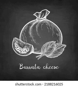 Burrata cheese with cherry tomatoes and basil. Chalk sketch on blackboard background. Hand drawn vector illustration. Vintage style stroke drawing.