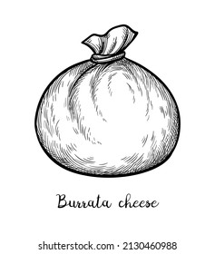 Burrata cheese. Ink sketch isolated on white background. Hand drawn vector illustration. Vintage style stroke drawing.