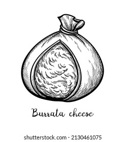 Burrata cheese. Ink sketch isolated on white background. Hand drawn vector illustration. Vintage style stroke drawing.