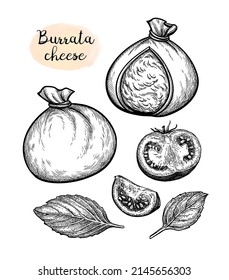 Burrata cheese with tomatoes and basil. Ink sketch isolated on white background. Hand drawn vector illustration. Vintage style stroke drawing.