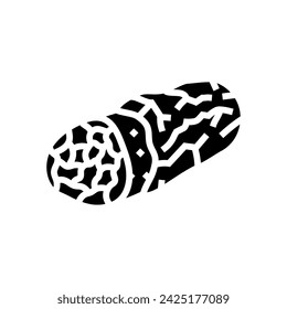 burrito fast food glyph icon vector. burrito fast food sign. isolated symbol illustration