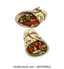 Burrito. Mexican traditional food. Vector vintage hatching color illustration.