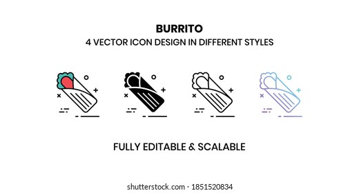 Burrito vector illustration icons in different styles