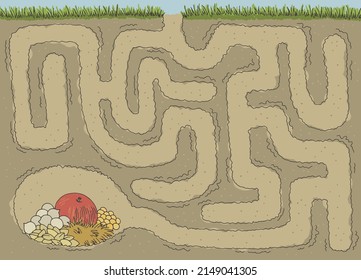 Burrow maze graphic color sketch illustration vector