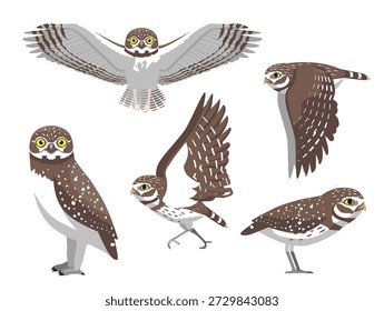 Búho excavador Pájaro Varias Poses Carácter de Vector de dibujos animados