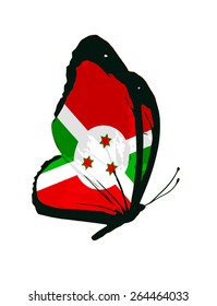 Burundi flag butterfly - vector