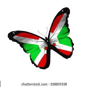 Burundi flag butterfly - vector