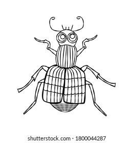 Burying beetle - hand drawn B&W vector illustration isolated on white