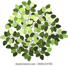 Bush for architectural floor plans. Entourage design. Top view tree for the landscape design plan. Vector illustration.