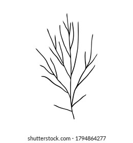 Bush with bare branches. Hand drawn vector isolated element for design.