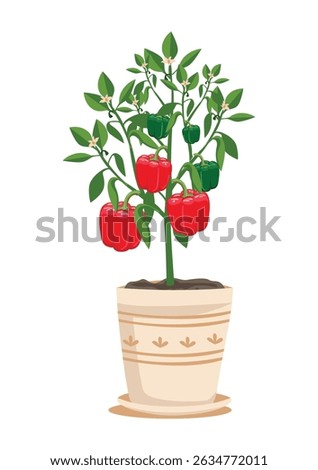 Bush of bell pepper with red ripe peppers in a flowerpot. Growing vegetables at home. Organic gardening. Vegetarianism and healthy eating. Vector illustration isolated on a white background.