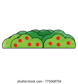 bush with berries icon image 