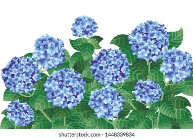Bush of blue hydrangea flowers with green stems and leaves flat vector illustration on white background