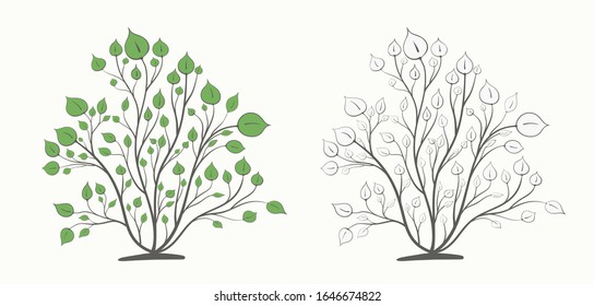 Bush with branches and green leaves in two versions isolated on a light background