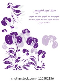 Bush of the cocks irises