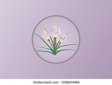 The bush of crocus.