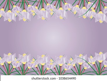 The bush of crocus.