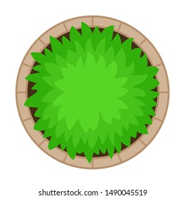 Bush in the flowerbed. Vector illustration on a white background.