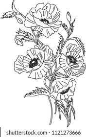a bush of flowering poppies painted by a line