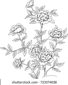 bush of flowers
