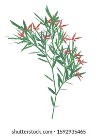 Bush with flowers Isolated on a white background. A lot of green leaves with red flowers. Vector illustration