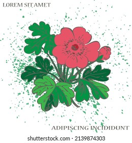 Bush of flowers on white background. Drawn pink hibiscus flowers and green foliage, artistic vector illustration. Floral botanical trendy pattern with watercolor splatter. Grafic design, greeting card