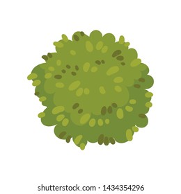 Bush in the form of a circle. Vector illustration on white background.