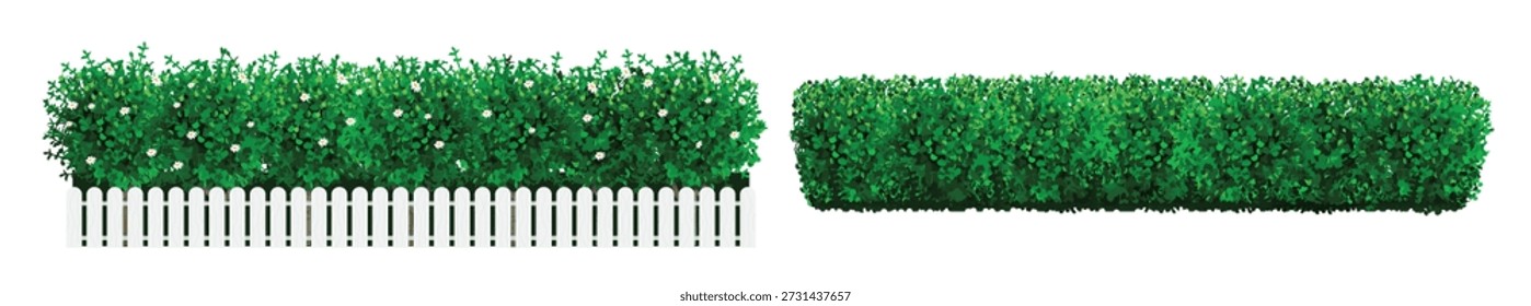 Bush in the form of a green hedge 