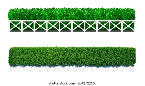 Bush in the form of a green hedge. Ornamental plant. The garden or the Park. Set of fences. Vector graphics