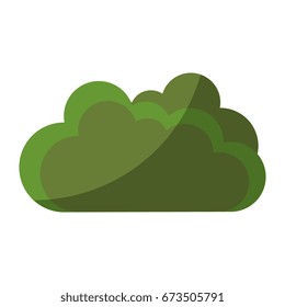 Bush garden isolated