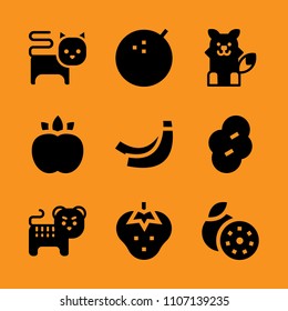 bush, ginger, object and face icon set. Vector illustration for web and design.