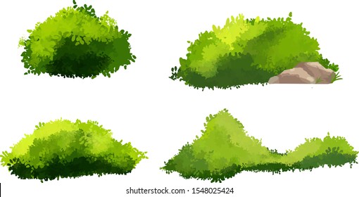 Bush Grass Foliage Illustration Vector Set 001