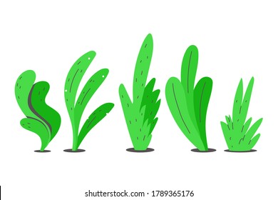 Bush und Gras, Vektorgrafik einzeln auf weißem Hintergrund.