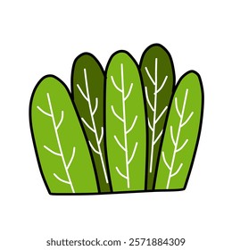 A bush with green colour. Ornament and element for design template. Frame decoration plant illustration. Botanical and nature element shape