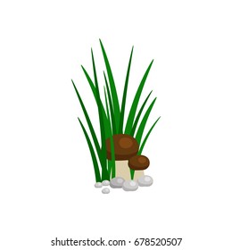 Bush of green grass with mushroom isolated on white background. Vector illustration