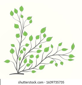 Bush with green leaves of different sizes and shapes on a light background