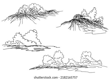 bush ground. bush drawing. bush sketch