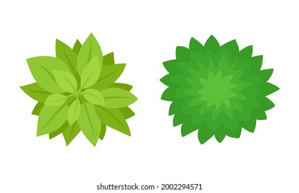 Bush Growth as Landscape Elements Above View Vector Set