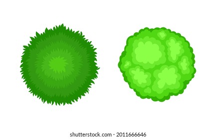 Bush Growth as Landscape Elements Above View Vector Set