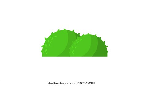 Bush insolated vector illustration
