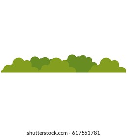 bush landscape isolated icon