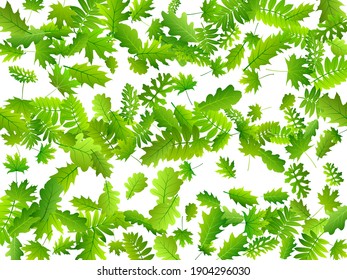 Bush leaves abstract vector design. Wild bush foliage macro. Rowan and maple leaves flying. Herbal natural design. Agriculture vibrant backdrop.