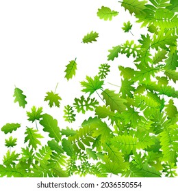 Bush leaves beautiful vector wallpaper. Tropical bush foliage macro. Rowan and maple leaves pattern. Herbal natural background. Plant elements lush vector.