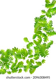 Bush deja una brillante ilustración vectorial. macro follaje salvaje. Las hojas de roble y roble están aisladas. Concepto botánico natural. Vector abstracto agrícola.