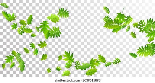 Bush leaves delicate vector backdrop. Herbarium bush foliage macro. Mix of many different leaves falling. Botanical eco background. Environmental simple backdrop.