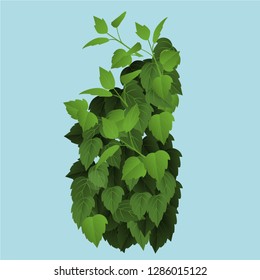 Bush leaves, jungle background, vector hand drawn watercolor illustration, realistic leaf