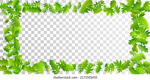 Bush leaves lush vector backdrop. Herbarium bush foliage closeup. Rowan and oak leaves pattern. Herbal eco illustration. Farm plantation delicate backdrop.