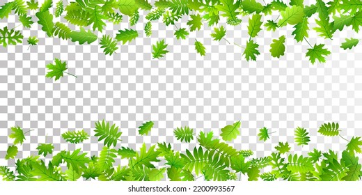 Bush deja un diseño vectorial exuberante. Cierre del follaje de arbusto de herbario. Mezcla de muchas hojas diferentes volando. Fondo ecológico herbal. Los elementos de la planta son un fondo vibrante.