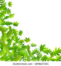 Bush leaves vibrant vector illustration. Wild bush foliage closeup. Rowan and maple leaves falling. Botanical organic background. Environmental rustic backdrop.